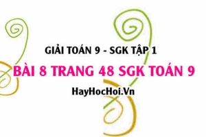 Giải bài 8 trang 48 SGK Toán 9 tập 1